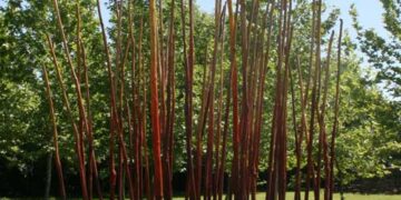 Spazio, Materia, Silenzio – A Casa dell’Artista – FAM incontra Italo Lanfredini – EVENTO RIMANDATO AD APRILE 2027